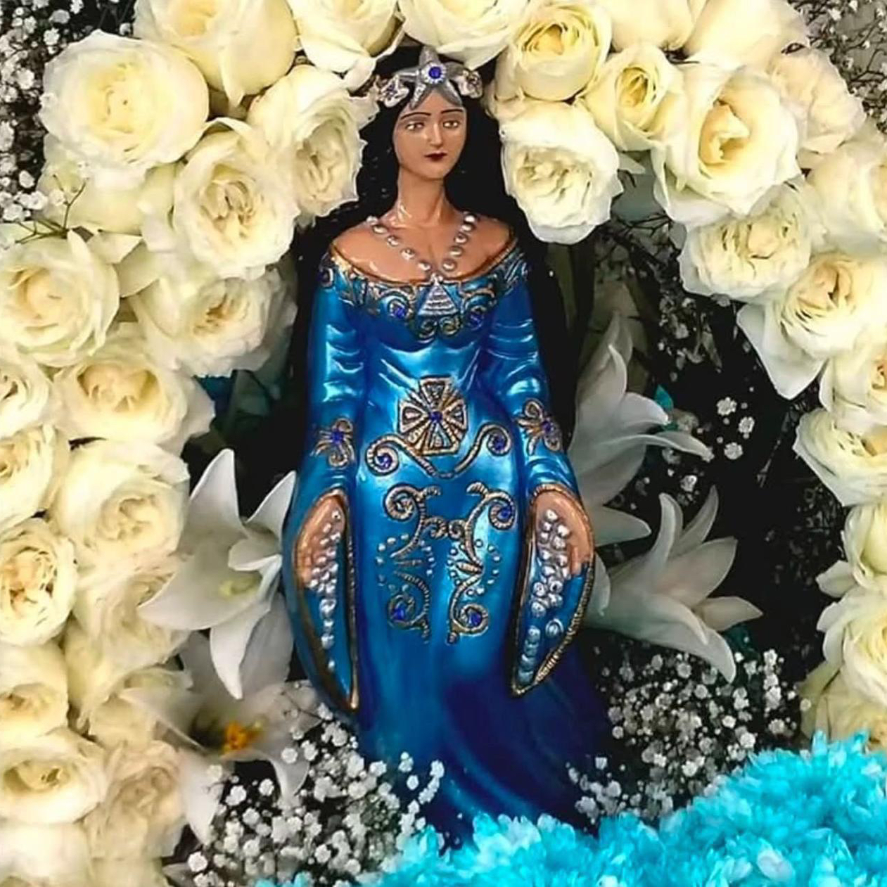 Ana Paula M.